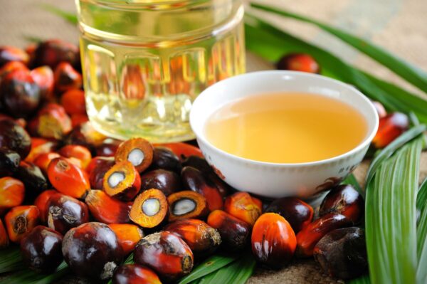 Palm kernel oil (Batana Oil)
