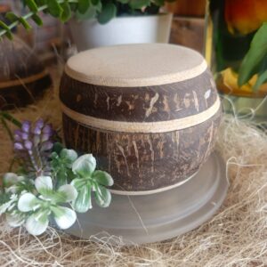 Cocoa Essence Body Butter